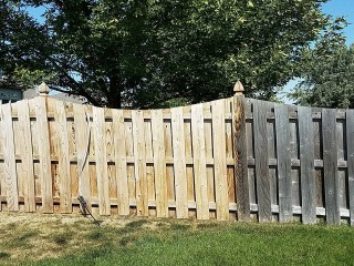 Power Washing Fence